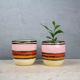 Spotted Liquorice All Sorts - Medium Planter