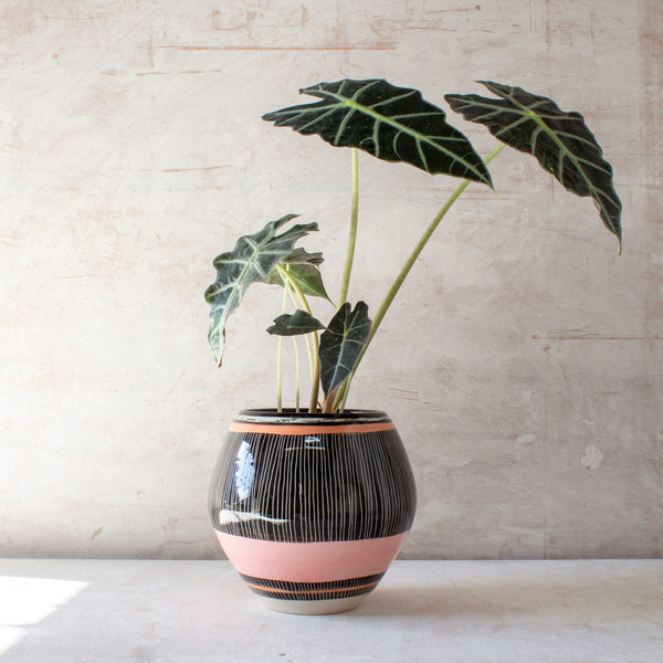 Stripey Liquorice All Sorts Orb Vessel - Black, Dusty Pink & Nasturtium