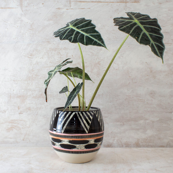 Tri Burst Orb Vessel - Black, Dusty Pink & Nasturtium
