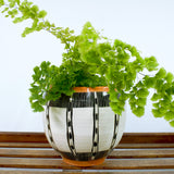 Ikat Stripe Orb Vessel - Black & Nasturtium