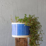 Stripey Road Jumbo M Planter  - Electric Blue