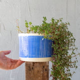 Stripey Road Jumbo M Planter  - Electric Blue