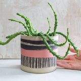 Textured Galah Large Planter  - Black & Galah