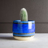 Liquorice All Sorts Planter - Black and Electric blue