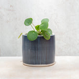Blue Steel Little Planter