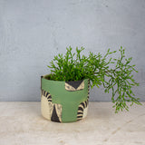 Moss Pathways - Large Planter