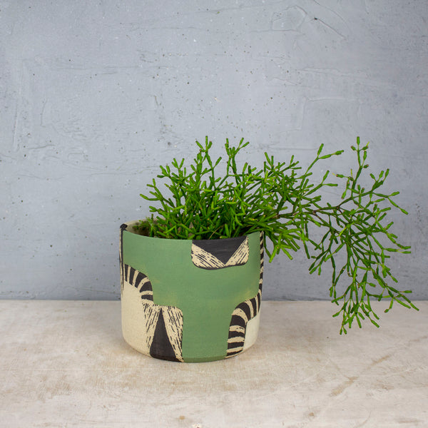 Moss Pathways - Large Planter