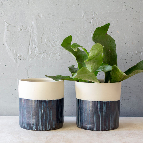 Half Blue Steel - Lg Planter