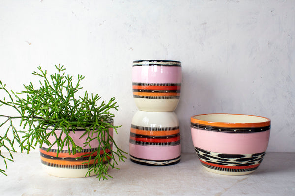 Spotted Liquorice All Sorts - Planter