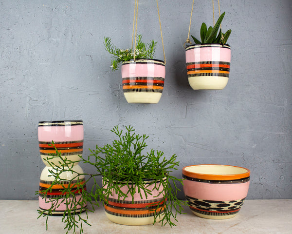 Spotted Liquorice All Sorts - Medium Hanging Planter