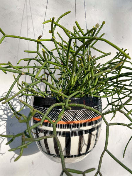 Textured Weave - Rounded Hanging Planter