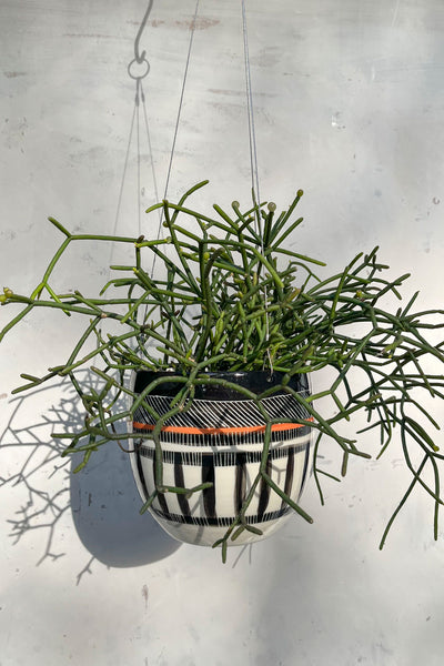 Textured Weave - Rounded Hanging Planter