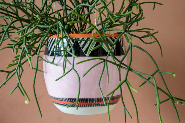 Tri Burst - Lg Rounded Hanging Planter