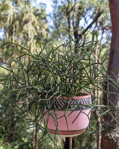 Tri Burst - Rounded Hanging Planter