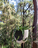 Moss Pathways- Rounded Hanging Planter
