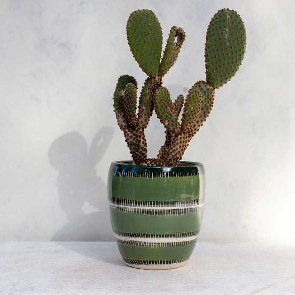 Moss Stitches - Vessel