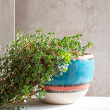 Liquorice All Sorts Bowl // Planter - Lagoon, Dusty Pink & Indian Red