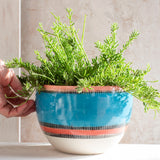 Liquorice All Sorts Bowl // Planter - Lagoon, Dusty Pink & Indian Red