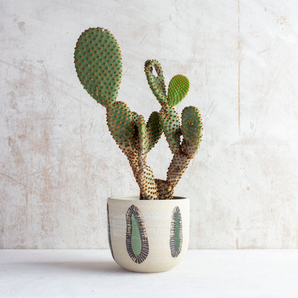 Opening - Little Vessel