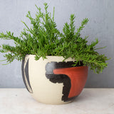 Textured Vast Land Rounded Vessel // Planter