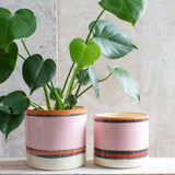 Liquorice All Sorts XL Planter - Black, Dusty Pink, Indian Red & Nasturtium