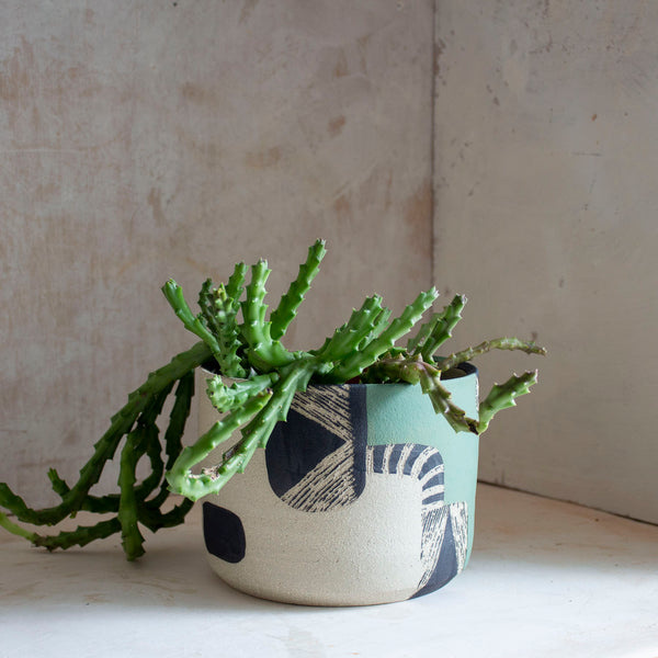 Moss Pathways - XLarge Planter