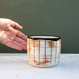 Striation - Med Planter