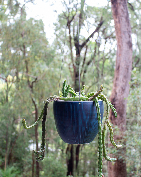 Blue Steel -  Rounded Hanging Planter