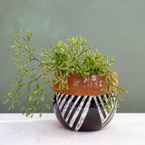 Teeth - Rounded vessel / Planter