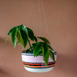 Liquorice All Sorts - XXLarge Hanging Planter