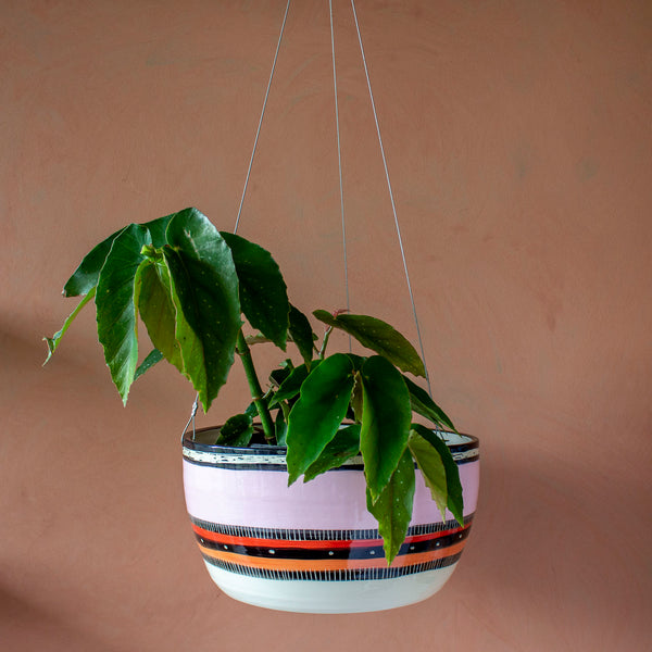 Liquorice All Sorts - XXLarge Hanging Planter