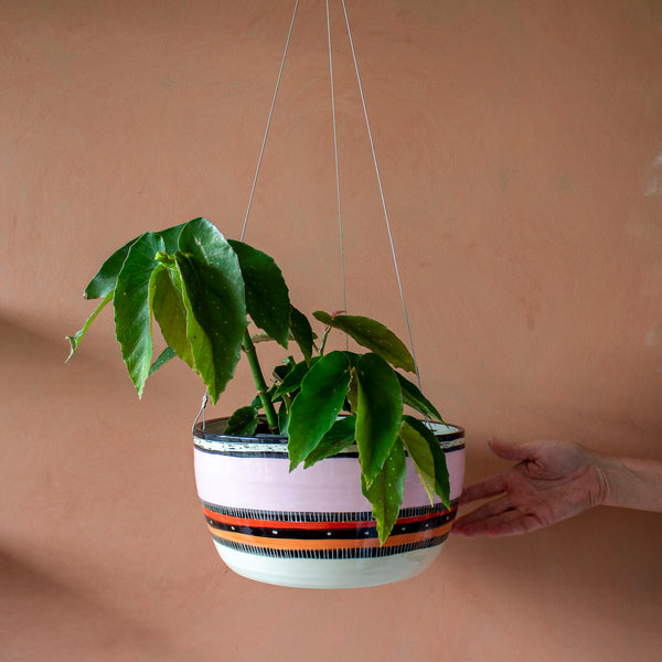 Liquorice All Sorts - XXLarge Hanging Planter