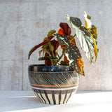 Textured Weave - Jumbo Bowl
