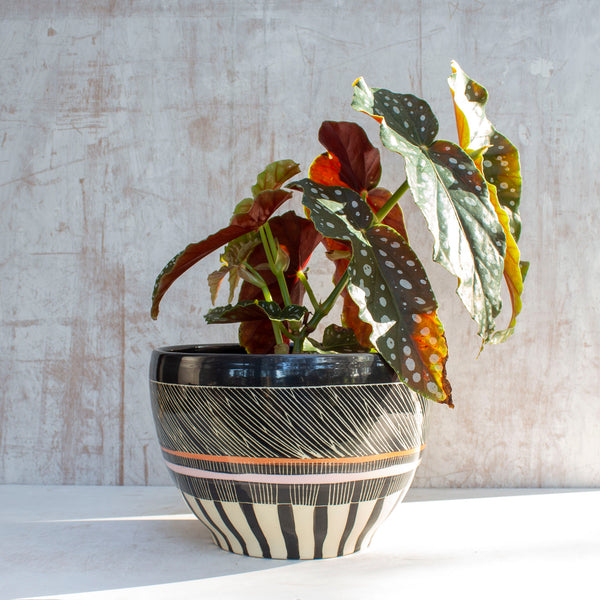 Textured Weave - Jumbo Bowl