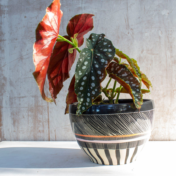 Textured Weave - Jumbo Bowl