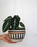 Spotted Path - Rounded Hanging Planter
