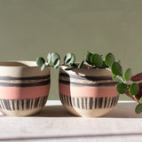 Textured Galah -  Rounded large Planter
